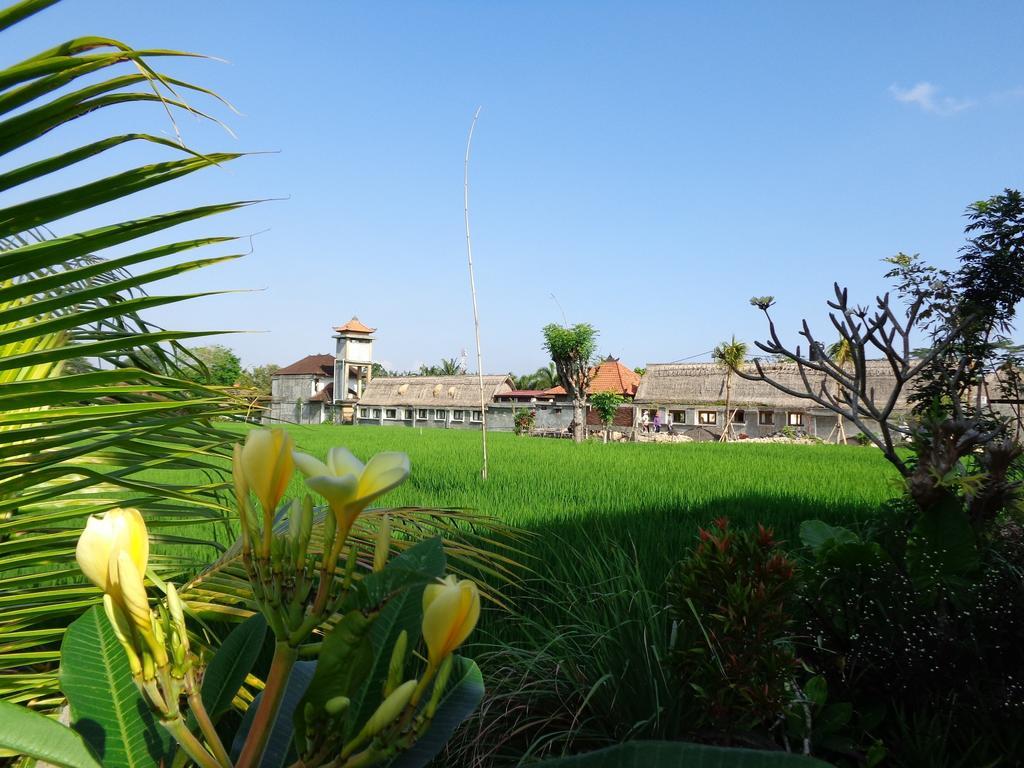 Bening Bungalow Ubud  Bagian luar foto