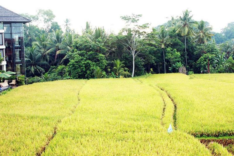 Bening Bungalow Ubud  Bagian luar foto