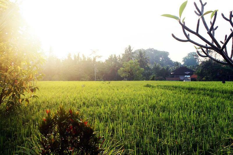 Bening Bungalow Ubud  Bagian luar foto