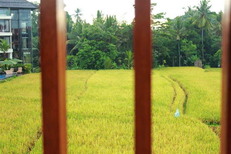 Bening Bungalow Ubud  Bagian luar foto